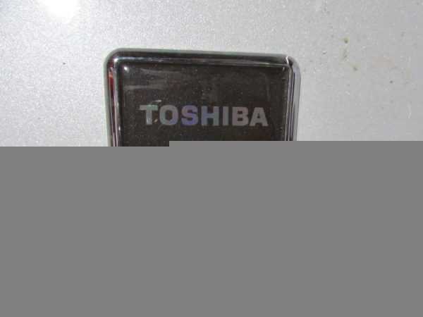 Купить Холодильник Toshiba GR-H64TR
