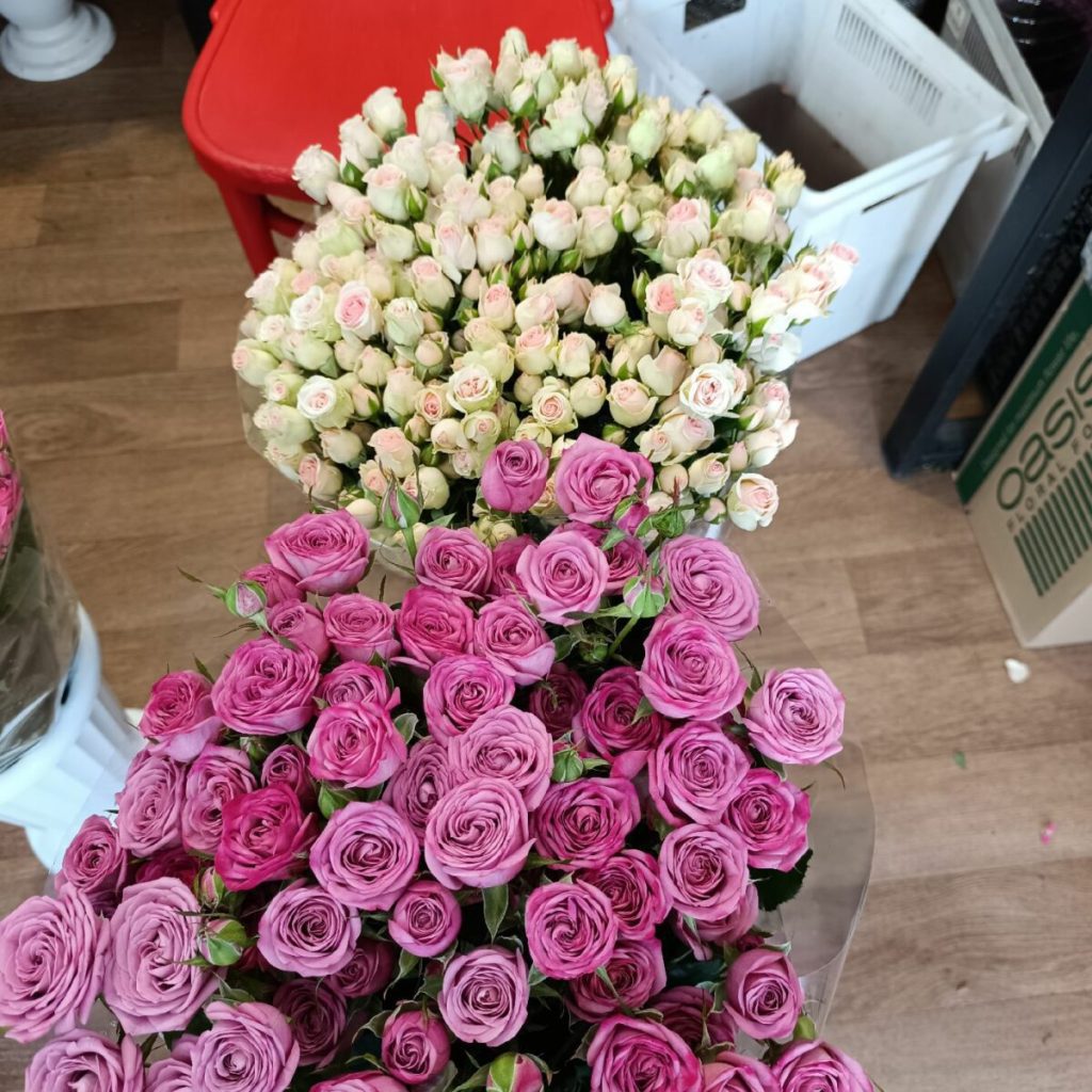 Как выбрать вариант холодильного шкафа-витрины для цветов