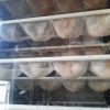 Купить Шкаф предварительной расстойки Бриз Плюс