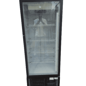 Купить Шкаф Премьер ШСУП1ТУ-0.5 С морозильный