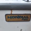Купить Ларь бонета Frigor Mondial