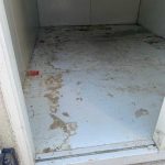 IMG-20221207-WA0010