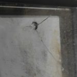 IMG_20230127_171320