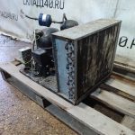 Img 20260426 115452