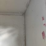 Img 20231108 110336