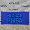 Купить Световая вывеска Живая рыба 250/110