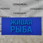 Img 20231209 113300
