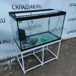 Img 20231221 160230