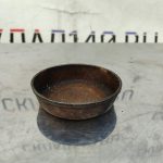 Img 20240120 141342