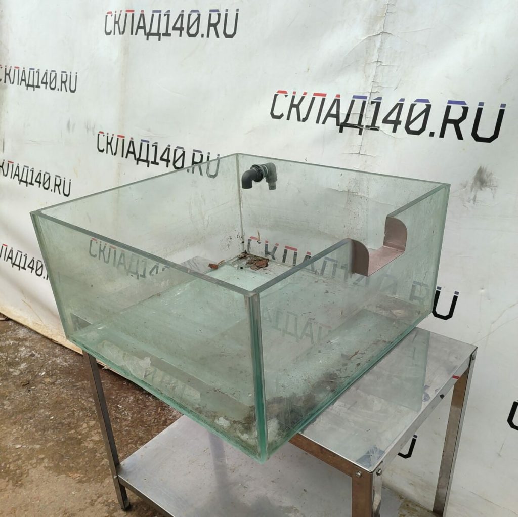 Img 20240306 103649