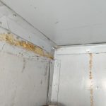 Img 20260511 125125