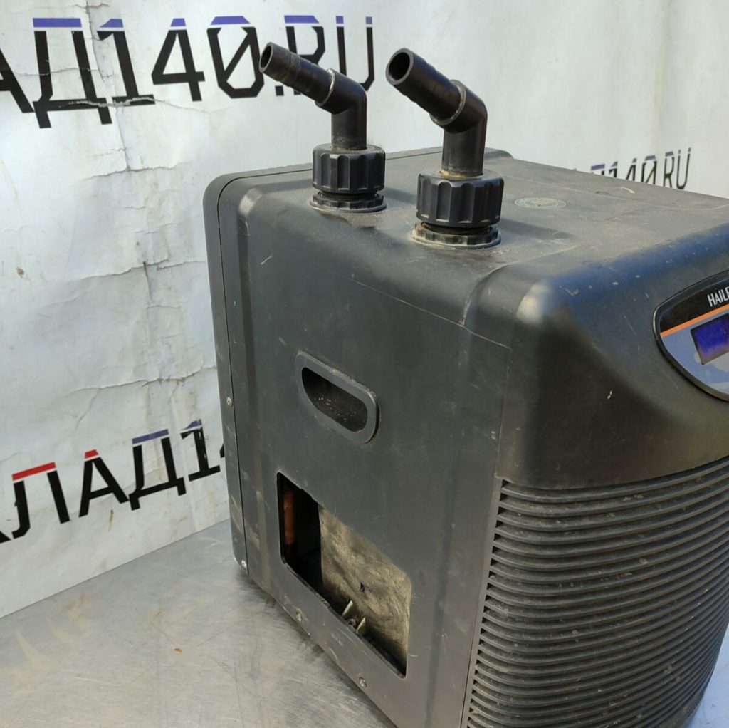 Img 20240505 110419