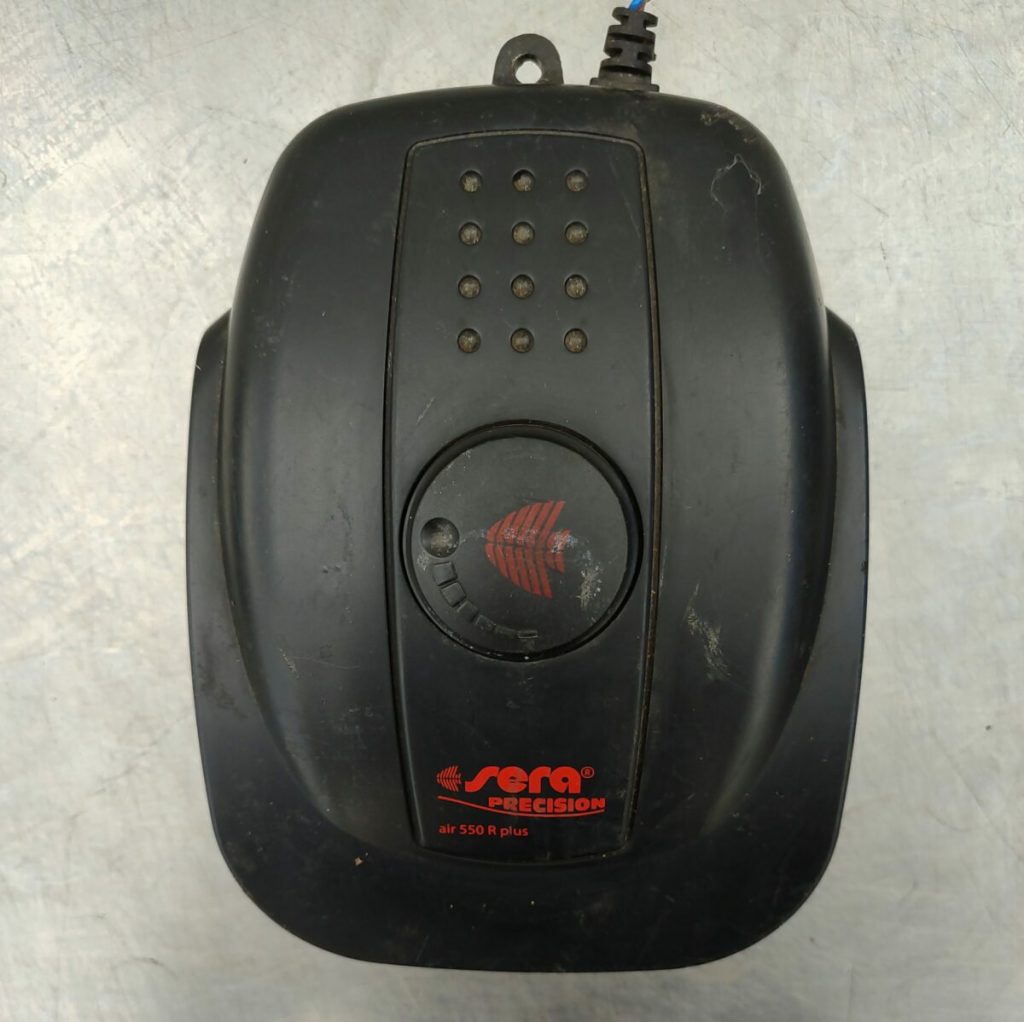 Img 20240621 145752