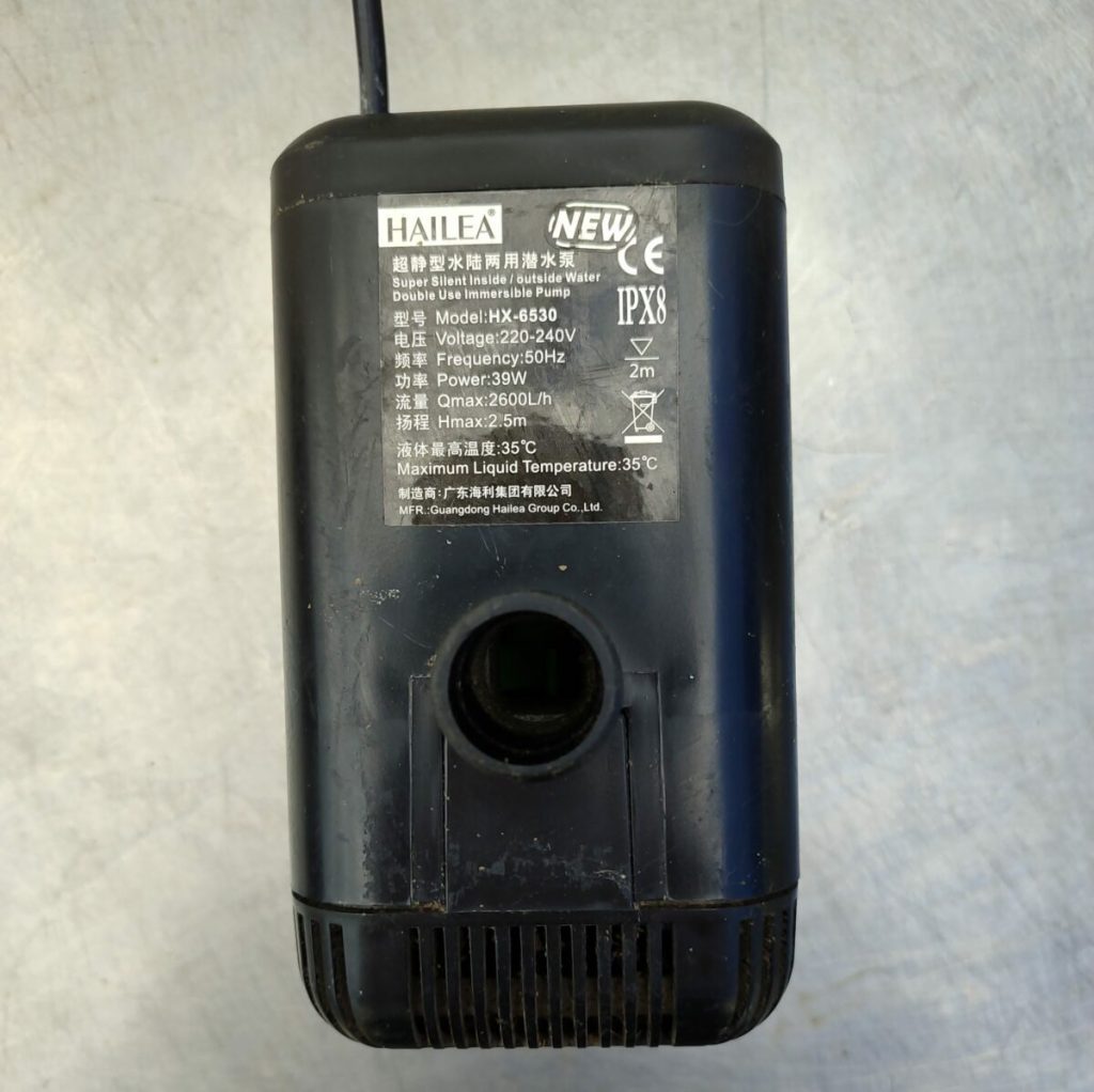 Img 20240621 150739