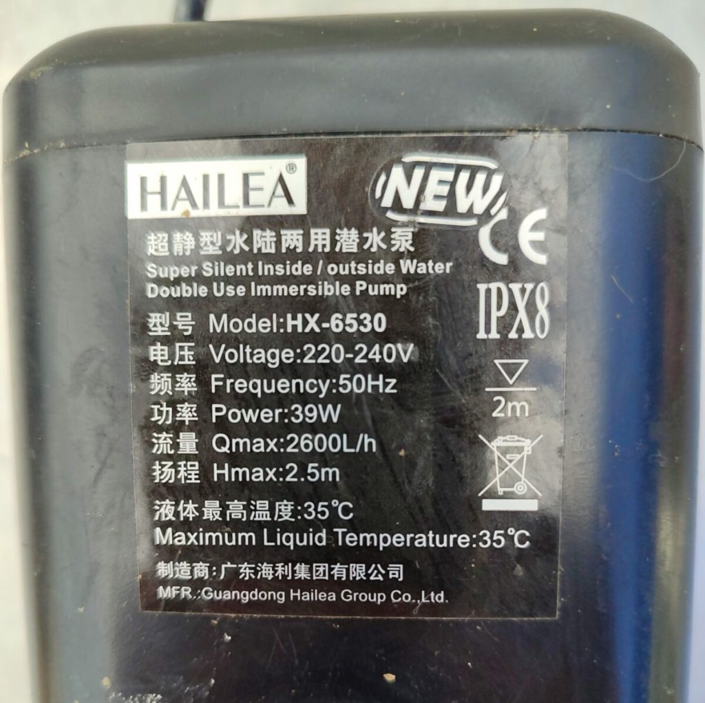 Img 20240621 150748