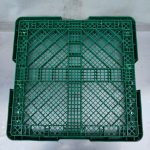 Img 20241012 171250 result