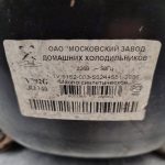 Img 20241027 165055