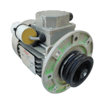 A87MR55020 Мотор Bonani S71B4 для Pizza Group