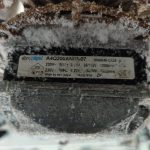 Img 20250112 095017