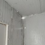 Img 20250120 102931