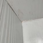 Img 20250120 141139
