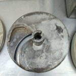 Img 20250124 144205