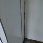 Img 20250201 155026