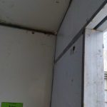 Img 20250201 155046