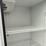 Img 20250304 105221
