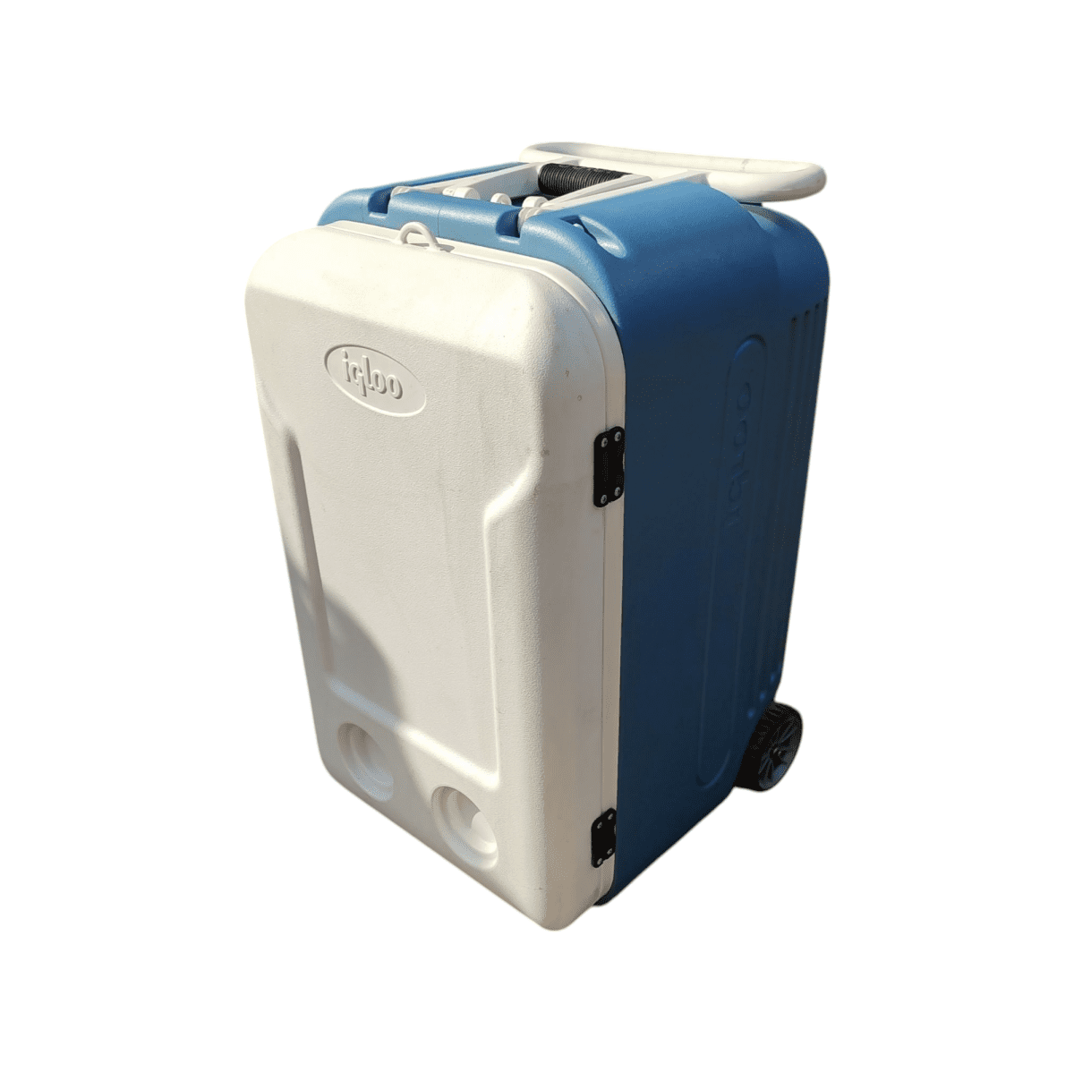 Купить Термоконтейнер Cambro Igloo Maxcold 60