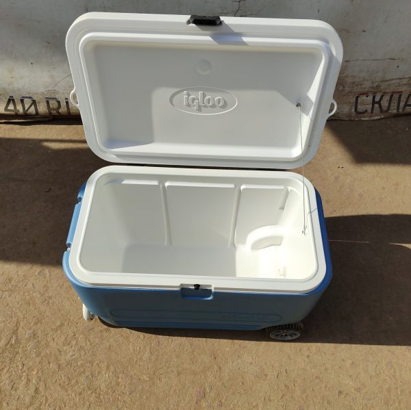 Купить Термоконтейнер Cambro Igloo Maxcold 60
