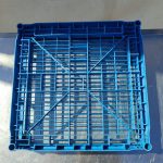 Img 20250727 110119