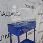 Img 20260619 110519